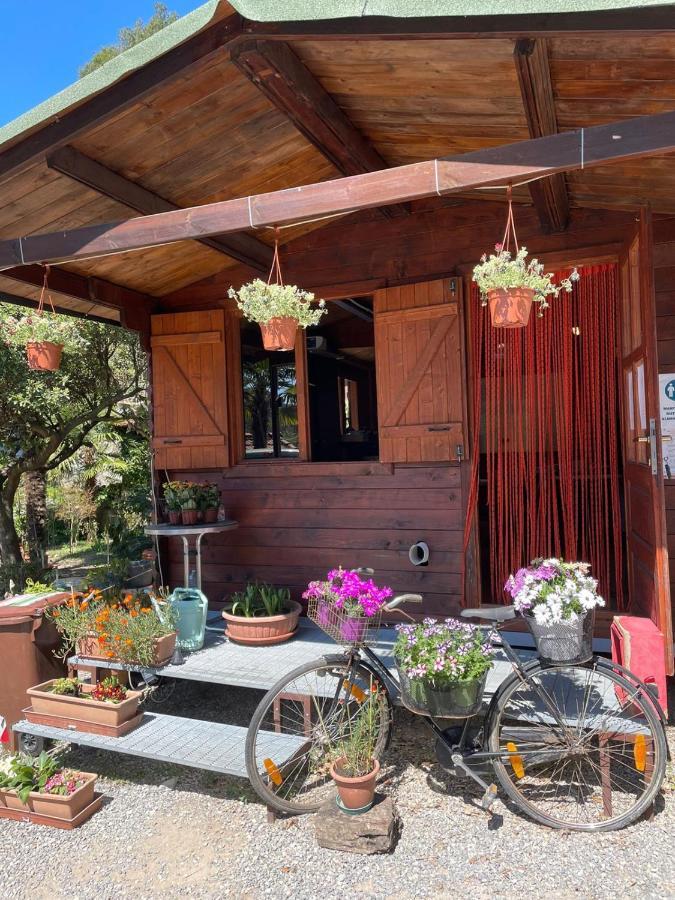 Agricamping Le Terrazze Hotel Orco Feglino Ngoại thất bức ảnh